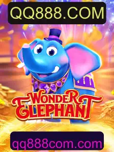Descubra o Fascinante Mundo de WonderElephant